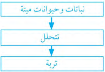 مراحل تكون التربة